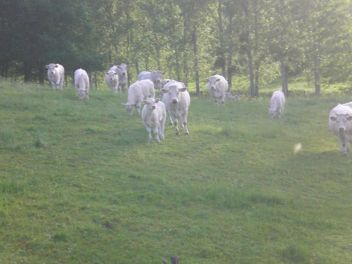 Chez Mimoune Trezioux Kültér fotó